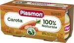 Plasmon Пюре от моркови 6+м 2х80г - topcho-online