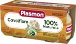 Plasmon Пюре от карфиол 6+м 2х80г - topcho-online