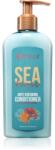 MIELLE Sea Moss kondicionáló kihullásra hajlamos, legyengült hajra 235 ml