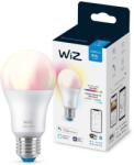 Philips Colors 60 W E27 A60