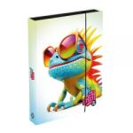 KARTON P+P Cutie Oxybag pentru caiete A4 Jumbo - Chameleon