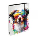 KARTON P+P Cutie Oxybag pentru caiete A4 Jumbo - Câine (1-46825)