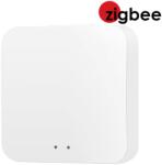 WENTOREX Control ZigBee Router / Gateway termosztáthoz (HYZGWG01) - kazanexpressz