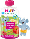 Hipp Organic Плодова закуска ябълка, банан, малина с пълнозърнести култури 100г