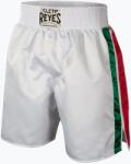 Cleto Reyes Férfi boxnadrág Cleto Reyes Satin Boxing white/green/red