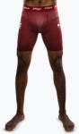 Venum Pantaloni scurți de antrenament pentru bărbați Venum X Ares 2.0 Vale Tudo burgundy