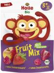 Holle Mix de fructe liofilizate pentru copii, +3 ani bio 13g