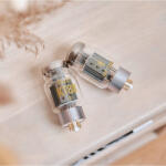 Ray Tubes Select KT88 vákuumcső