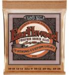Ernie Ball EARTHWOOD PHB 12 STRING CUSTOM LIGHT 10-48