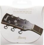 Ibanez IACS6C 12-52 akusztikus gitár húr