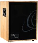 Ortega CONE-ASH akusztikus gitárerősítő