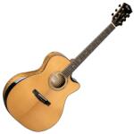 Cort Gold-Edge with case