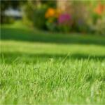 WOLF-Garten Wolf-Garden LD-A 500 /PL/ROM/BG/HU hosszú hatású gyeptrágya 500m2 (3836860)