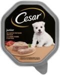 Cesar 28x150g Cesar Junior tálcás pulyka & borjú nedves kutyatáp