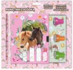 Derform Lovas kulcsos napló 14 x 18 cm - jelölő matricával és nyomdával (PKSZPKO24) (PKSZPKO24)