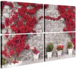 Virág Vászonkép Szett - Piros Bougainvillea - 4 db - 80x120 cm