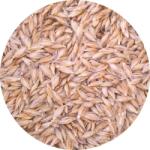  Bio alakor ősbúzafű mag 30kg