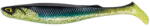 FishUp RAM Shad 20.3cm #352 Blue Shiner Chart (4820246296809)