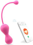 Magic Motion Kegel Master - Okos gésagolyó duó (lila) - erotikasziget