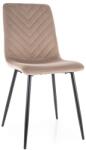  Étkezőszék DAREN VELVET bézs
