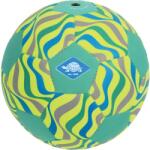 Schildkröt Neopren Beachsoccer 5
