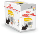 Royal Canin CCN Dermacomfort 12x85g
