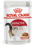 Royal Canin FHN Instinctive Gravy 12x85g - krizsopet