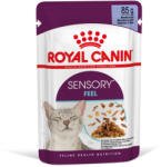 Royal Canin FHN Sensory Feel Jelly 12x85g