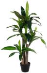 Bizzotto DRACANEA II zöld művirág