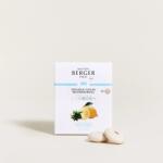 Maison Berger Paris Maison Berger Paris® Zest of Verbena autós illatdiffúzor utántöltő