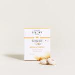 Maison Berger Paris Maison Berger Paris® Aroma Energy - Sparkling Zest autós illatdiffúzor utántöltő