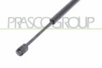PRASCO Amortizor capota PRASCO BM8029005 (BM8029005) - fixbox
