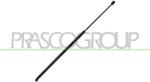 PRASCO Amortizor capota PRASCO VG4009001 (VG4009001)