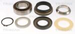 TRISCAN Set rulment roata TRISCAN 8530 14263 (8530 14263) - fixbox