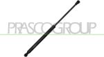 PRASCO Amortizor capota PRASCO BM0249005 (BM0249005) - fixbox