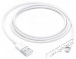 Apple Lightning to USB Cable 1m