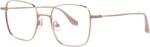 Ana Hickmann HIC 1172T 05A 50 Ochelari de citit