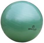 SPARTAN Minge de gimnastică, 65 cm SPARTAN (58) Minge fitness