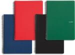 KARTON P+P Ring pad A5 PP Classic mai multe tipuri