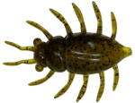 FishUp Maybug 3.3cm #074 Green Pumpkin Seed (4823127800645)