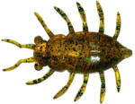 FishUp Maybug 3.3cm #036 Caramel Green and Black (4823127800607)