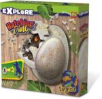 SES Creative Dinosaur Hatching (107825063)