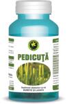 Hypericum Pedicuta, 60 capsule, Hypericum