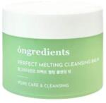 Ongredients tisztító balzsam filodendron kivonattal, 100ml