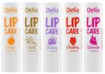 Delia Cosmetics Balsam de Buze Protector Delia Protective Display Mixt, 20 Bucati/Set (DEM000671)