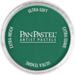 PanPastel Artists’ Pastel uscat 620.3 Phthalo Green Shade 1 buc (8026203-1)