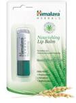 Himalaya herbals ajakbalzsam tápláló 4 g