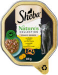 Sheba 44x85g Sheba Nature´s Collection csirke szószban nedves macskatáp