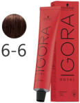 Schwarzkopf Igora Royal krémhajfesték 60ml - 6-6