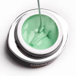 Brillbird Brush&Go színes zselé - GO 31 - 4, 5ml TF